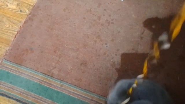 НАРЯЖАЕМ ЁЛКУ НА НОВЫЙ ГОД 2024! 