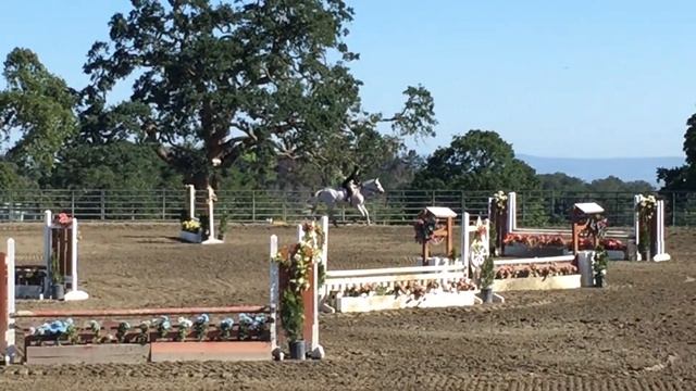 Naomi Rubin and Cold Smoke - Children's Classic - Woodside Spring Preview смотреть онлайн