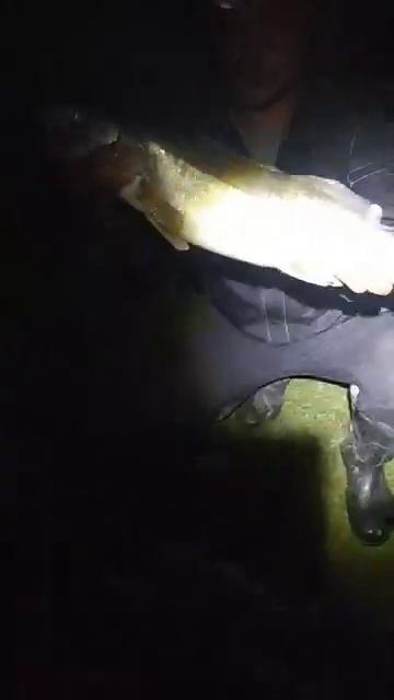 судак порадовал смотреть онлайн