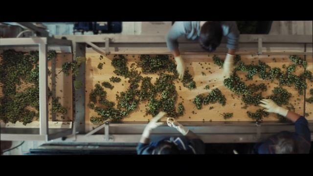 Добро пожаловать! смотреть онлайн