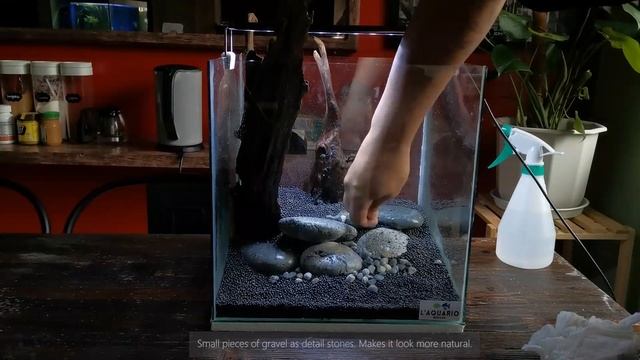 Aquascape Tutorial: "ANTLERS" 12x12x12 CUBE TANK (Step By Step Tank Guide) смотреть онлайн