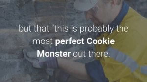 ‘Cookie Monster’ rock could be worth more than $10000