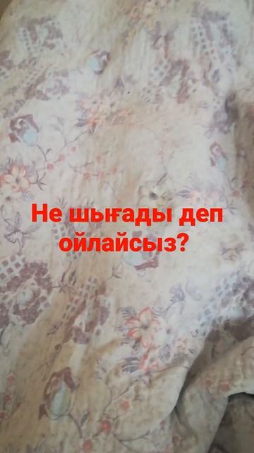 қысқа дайындық, банка жабу, соленья, варенья смотреть онлайн