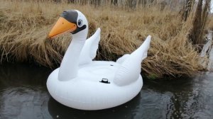 INTEX 56287 - Inflatable mega large white Swan 1.94m x 1.52m x 1.47m floating on a small river