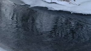 Река Горетовка в окрестностях деревни Середниково.