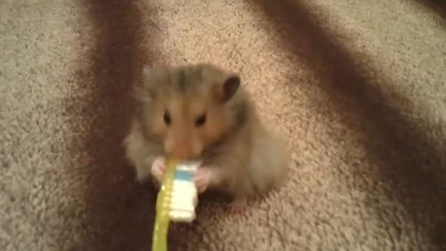 Типуськазавры "Б" - Бабай - 2 месяца смотреть онлайн