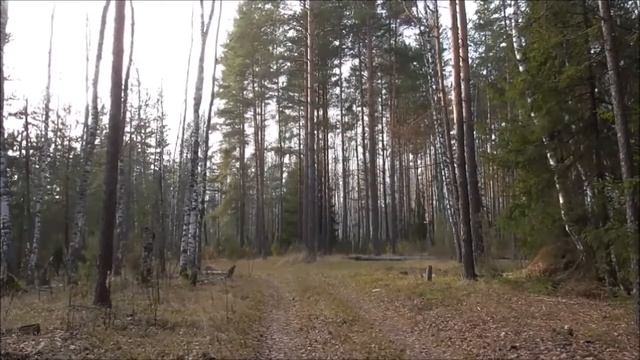 Одинокая осень смотреть онлайн