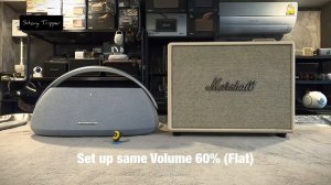 Harman Kardon Goplay 3 vs Marshall Woburn 3