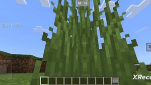 новая информация для всех