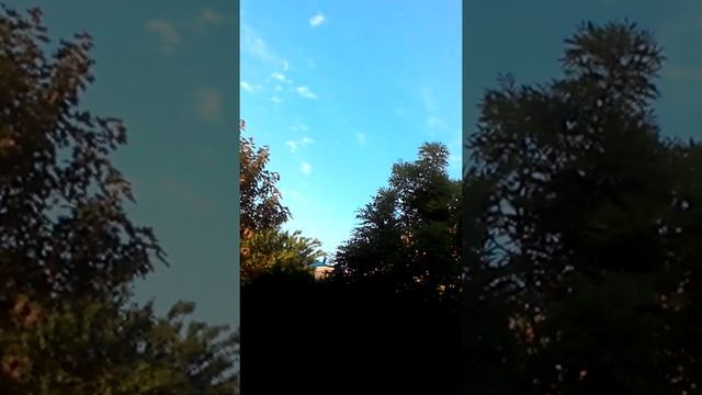 Журавли над лагерем ченоморочка и идиотская шутка смотреть онлайн