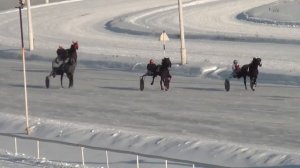 Московский ипподром. Бега. 19.01.14. Все финиши дня