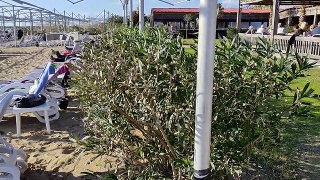 Side Royal Palace Hotel & Spa am Strand смотреть онлайн