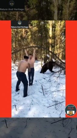 Men's are workout with Black Bear. #NatureAndHeritage🐯. |Wildlife's| |Human VS Wild Animals| |Short