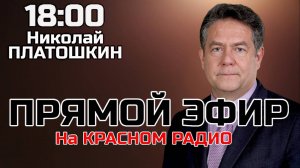 Николай Платошкин. Прямой эфир 24.02.25