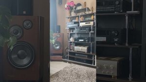 Акустика  VICTOR   SX 900