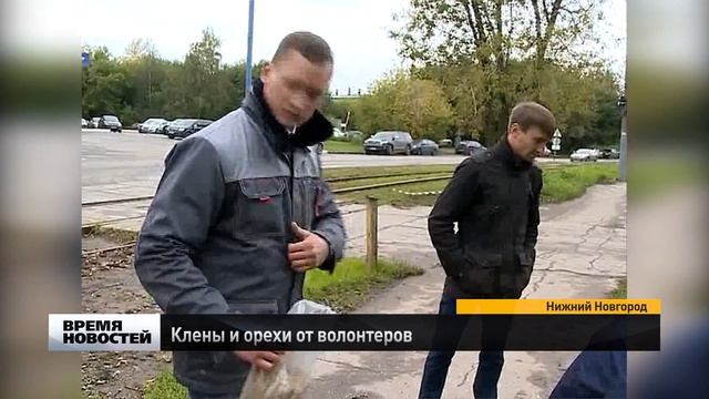 Клены и орехи от волонтеров смотреть онлайн