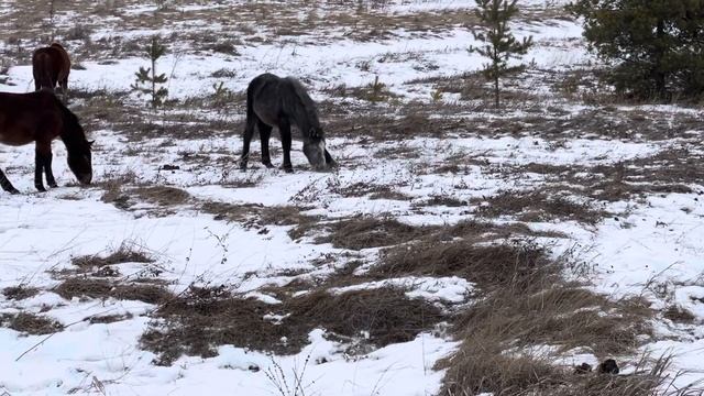 29 января 2022 г. смотреть онлайн