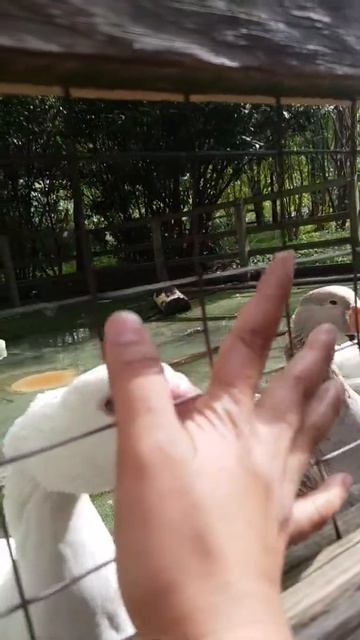 May 10, 2022 смотреть онлайн