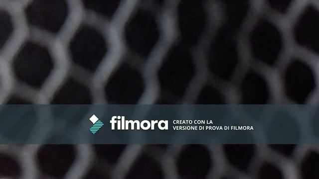 vamos al zoo /termina ......./(el gamer crack) смотреть онлайн