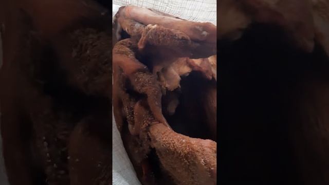 Чем я кормлю собак. смотреть онлайн