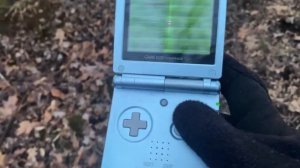 Raising a SHINY to Level 100 Before the FIRST Gym (Pokémon Ruby, Full Odds) [Level 100 Gauntlet]