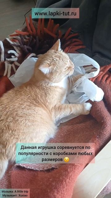 обзор популярной игрушки для кошек 😁 #игрушкидлякошек