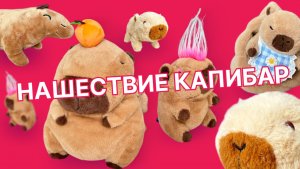 Новая коллекция. Угадай какая