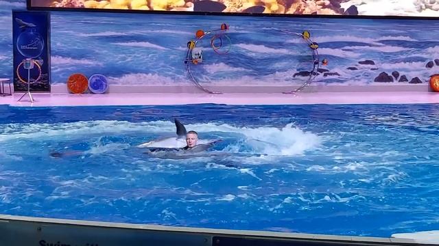 дельфинарий 3# смотреть онлайн