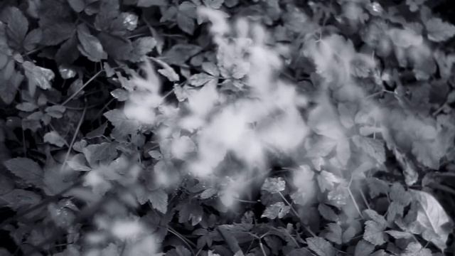 Октябрь смотреть онлайн