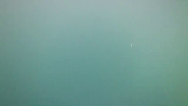 2022 | 2 Days Spearfishing: Queen fish & Barracuda 💪💪💪 смотреть онлайн