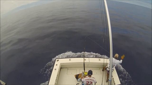 Dream Catcher 800 pounds Blue Marlin смотреть онлайн