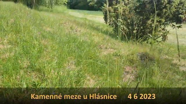 Kamenné meze u Hlásnice смотреть онлайн