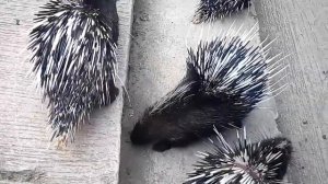 Путешествие во Вьетнам