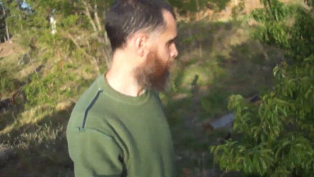 Cultivo excelente para bosque de alimentos | Sembra ya Topinambur! | Identificacion de nativas смотреть онлайн