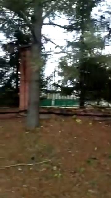 ГЕОЛОГИЯ смотреть онлайн