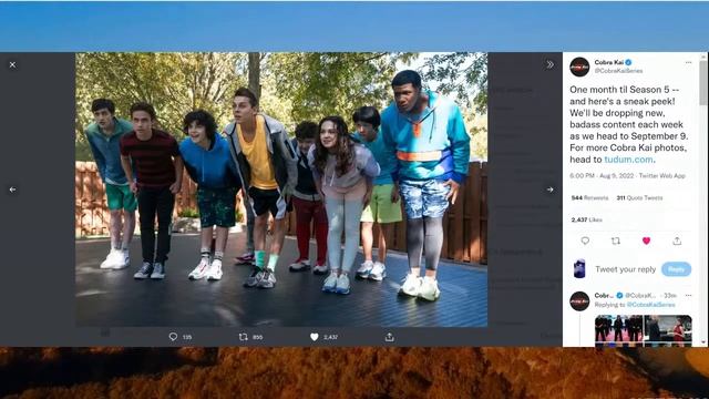 NEW COBRA KAI 5 IMAGES! 🐍 смотреть онлайн