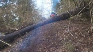 Слава прыгает через бервно