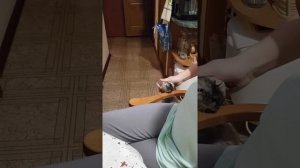 Кошка просит ласки. Требует.