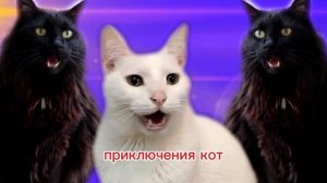 приключения кот песня английская