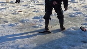 23.02.25 г. Запуск призовых Форели.