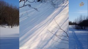 Прогулка по Таёжке просто так