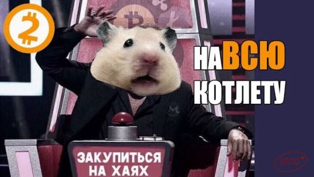 Криптовалюта в 2024 году. Что такое крипта.Новая эра майнинга | Ring | TapSwap | Blum | Notcoin| NC