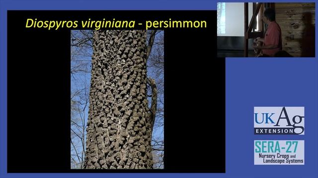 Showy Bark - Alex Niemiera смотреть онлайн