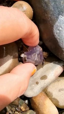 Gift Of Earth !! Amethyst, Quartz Crystal In River [part 383]#shorts #crystal