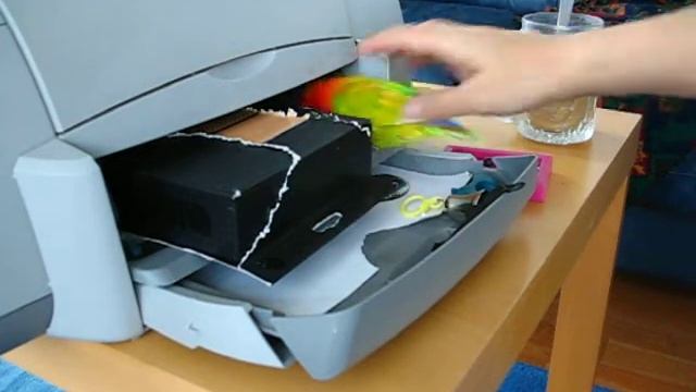 Mango lovebird hide&attacking toys Oct 28,2010 смотреть онлайн