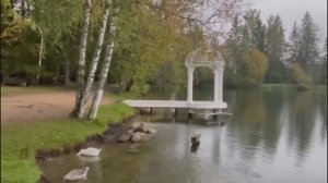 Три осенних дня в любимом Солнечном. Парк-отель Солнечный, Московская область.