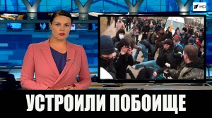 Жуткое Побоище Мигрантов с Русскими Парнями