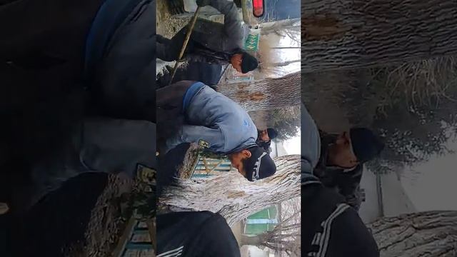 жагалмай осоо смотреть онлайн