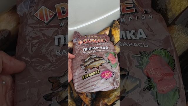 рыбалка на линя! смотреть онлайн