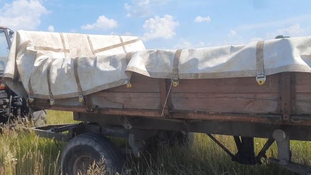 жнива! за 15км, ЖИТО 2021 смотреть онлайн